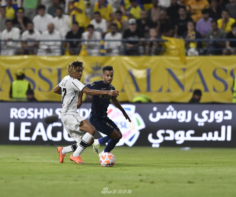 双导师并行 双导师并行